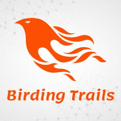 Birding Trails